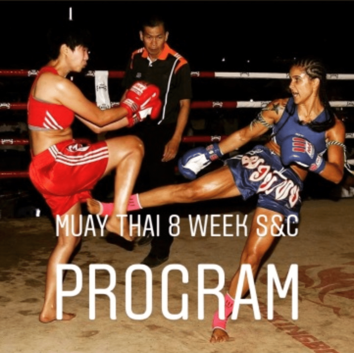 Muay Thai Workouts At Home Pdf Blog Dandk